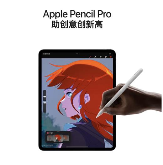 苹果 Pencil Pro 磁吸触控笔手写笔苹果笔电容笔书写绘画ipad笔 适用于iPad mini/Pro/Air 商品图3