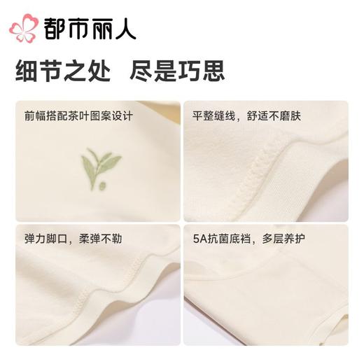 都市丽人内裤女士内裤50支棉内裤棉质内裤舒肤棉LKC4A3 商品图3