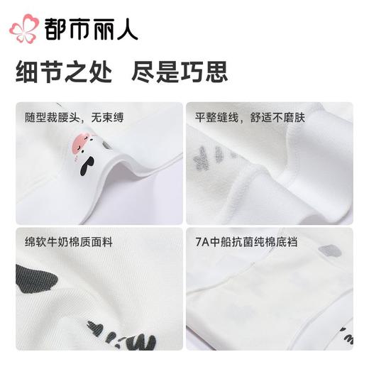 都市丽人内裤女士内裤60支棉莫内裤木代尔内裤纤柔绵内裤LKC5C5 商品图3