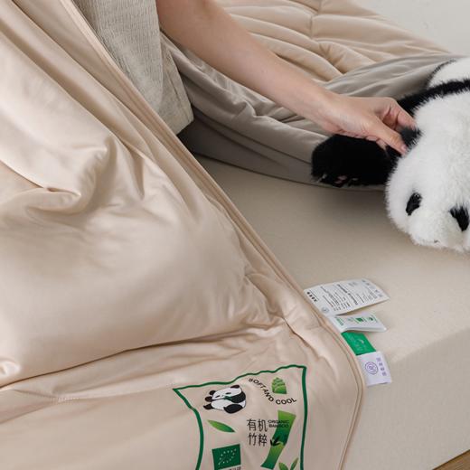 【有机竹粹夏凉被】锦纶面料，科技锁凉，竹纤抗菌，丝滑触感，给你夏日清爽睡眠！ 商品图5