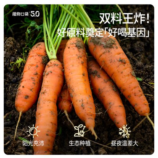 【配方干净】植物口袋 5.0益生菌发酵儿童护眼饮  200ml/瓶 全新无菌锁鲜工艺 商品图2