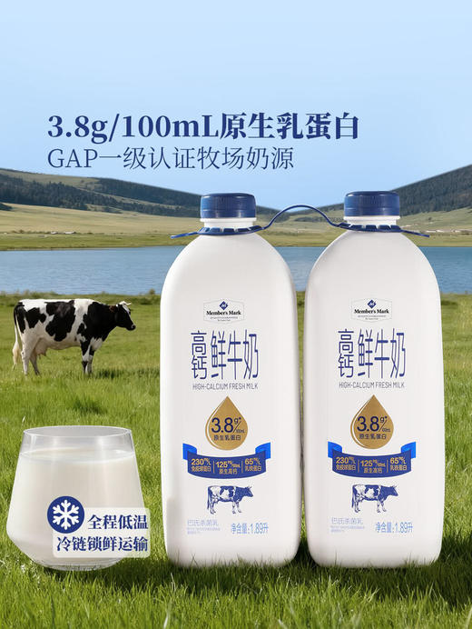 MM 山姆 Member's Mark 高钙鲜牛奶 2*1.89L 商品图1