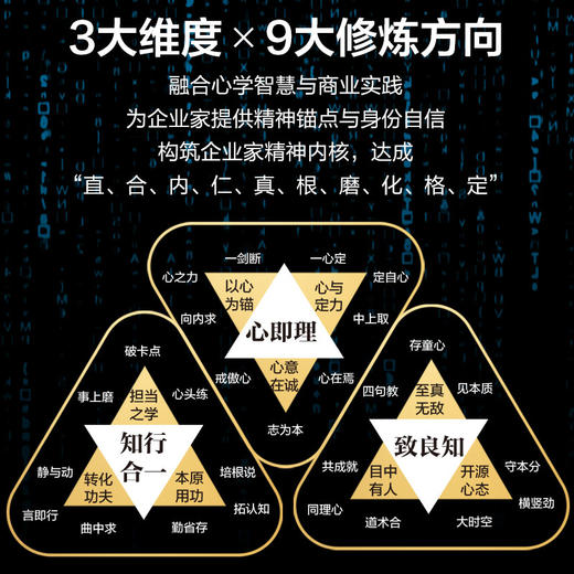 良知力：AI时代的企业家精神 何伊凡著 商业观察赋能企业新质发展 中国企业家商业领导力企业管理书籍 商品图2