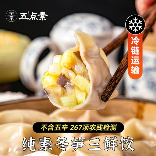五点素 水饺饺子 翡翠时蔬/山野荠菜/山珍松茸/玉米马蹄/冬笋三鲜  500g/袋【24个/袋】 商品图2