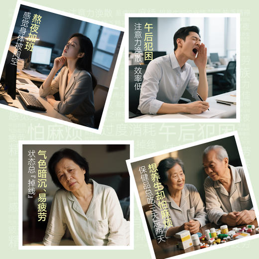 养时养刻  三七原萃饮  基础版 商品图1