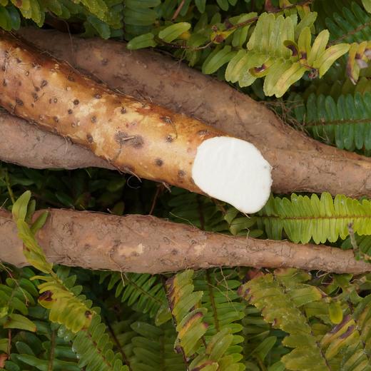 010垆土铁棍山药  药食同源 逆境生长积累养分 更营养 雪后采挖 口感面糯 十年一茬，只为一根好山药 商品图4