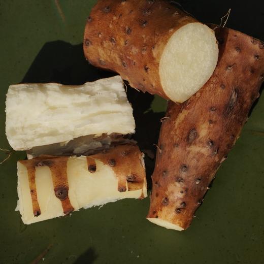 010垆土铁棍山药  药食同源 逆境生长积累养分 更营养 雪后采挖 口感面糯 十年一茬，只为一根好山药 商品图8
