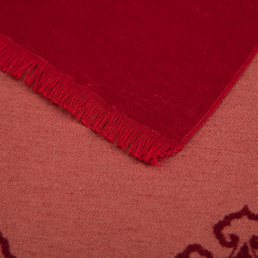 万事利 好事成双【嘉和】礼盒两条装 蚕丝丝绒围巾保暖外搭送礼自用 商品图2