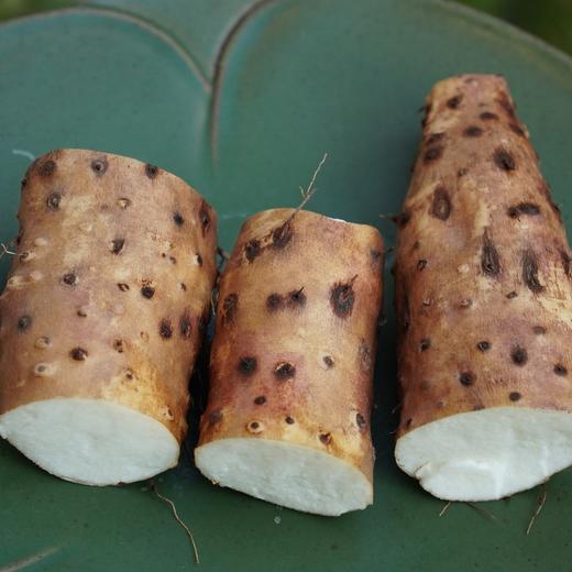 010垆土铁棍山药  药食同源 逆境生长积累养分 更营养 雪后采挖 口感面糯 十年一茬，只为一根好山药 商品图6