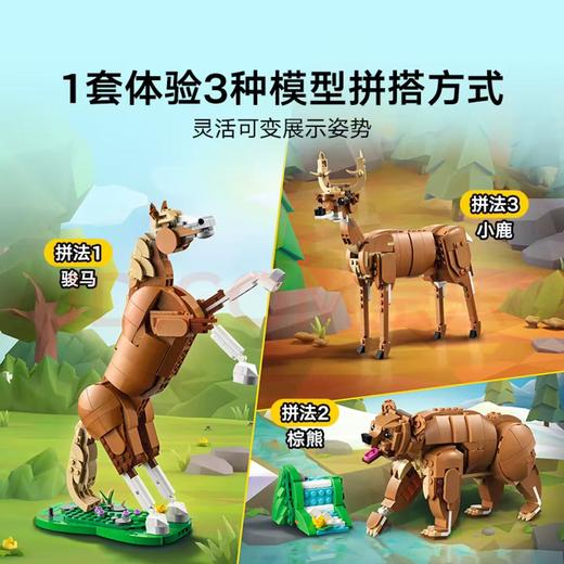 【春上新】8楼乐高 乐高新品31166 骏马 吊牌价449元 商品图3
