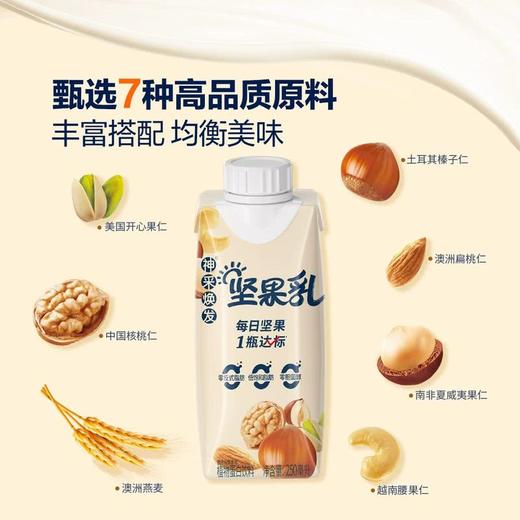 MM 山姆 统一 神采焕发坚果乳植物蛋白饮料 250ml*18 商品图2