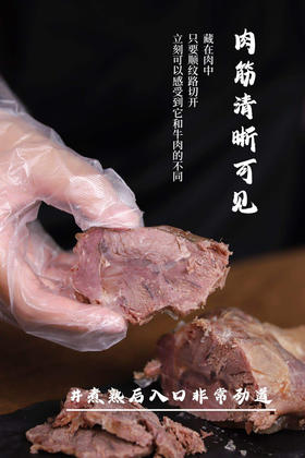 壹家良品原香牛腱子