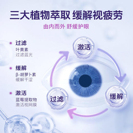 【蓝莓叶黄素胶囊】三大营养成分，直达眼底 ，补充营养素，疏通眼部微循环 商品图6