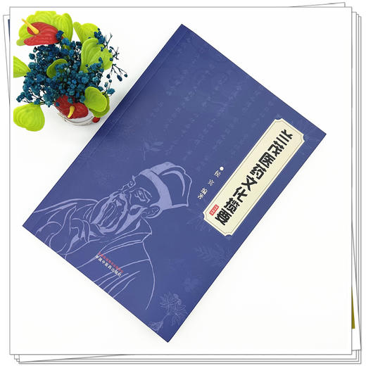 兰茂医药文化揽要 侯宾 编著 中医生活医药文化研究 传承和弘扬传统医药文化 兰茂医药文化的主要研究方法等 中国中医药出版社 商品图2