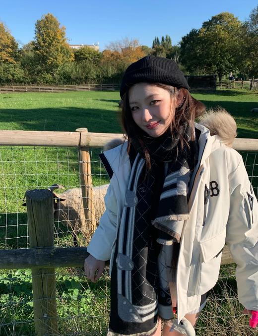 MLB 纽约洋基队三代工装短款夹克羽绒服男女同款（MT） 商品图6