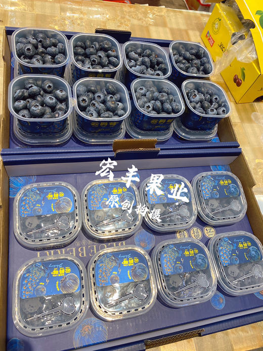 【宏丰精选】花香蓝莓，口感纯甜，果粉足，活动价16.8元一杯 商品图7