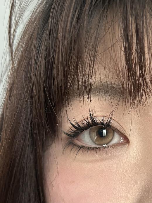 CN半年抛 太阳之子/暮色黄昏/日落的甜/点点萤火/金桔锦鲤/蜜糖柚子/怪味可可 14.0-14.2mm 商品图11