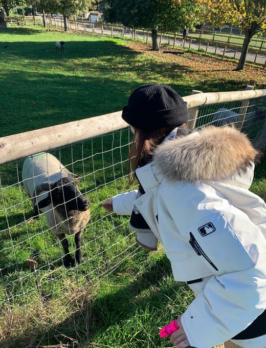 MLB 纽约洋基队三代工装短款夹克羽绒服男女同款（MT） 商品图7