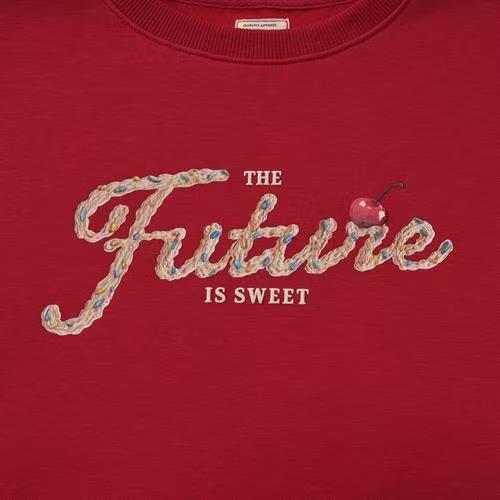 佐丹奴女装25新款节日感圆领加绒印花卫衣05395606 商品图5