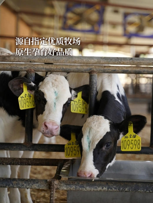 MM 山姆 Member's Mark 鲜酪乳风味发酵乳 120g*12 商品图3