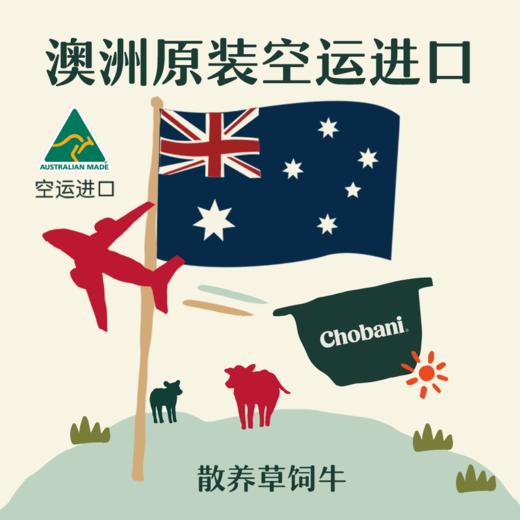 MM 山姆 Chobani希腊式风味酸奶 100g*6 商品图5