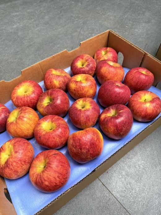 云南红绣苹果 商品图0