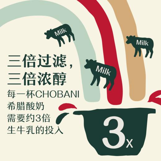 MM 山姆 Chobani希腊式风味酸奶 100g*6 商品图4