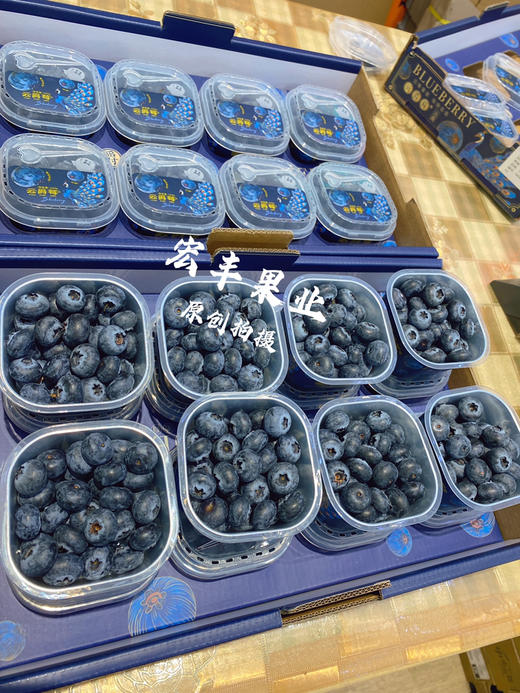 【宏丰精选】花香蓝莓，口感纯甜，果粉足，活动价16.8元一杯 商品图6