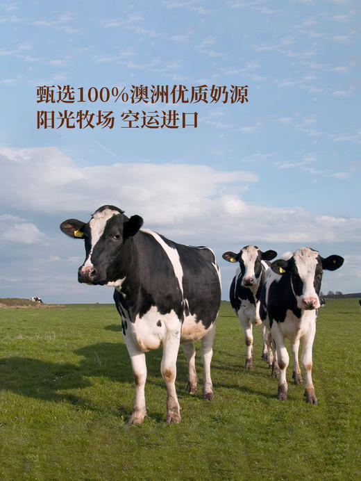 MM 山姆 Dairy Farmers澳洲焦糖无花果酸奶 900g（150g*6） 商品图3