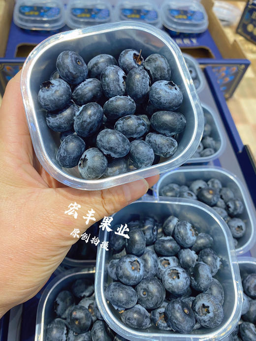 【宏丰精选】花香蓝莓，口感纯甜，果粉足，活动价16.8元一杯 商品图1