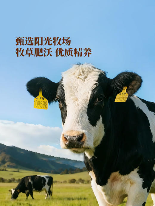 MM 山姆 Member's Mark 香草风味发酵乳 1.62kg（135g*12） 商品图3