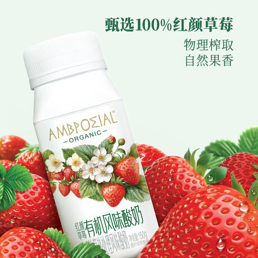 MM 山姆 红颜草莓有机风味酸奶 150g*24 商品图4