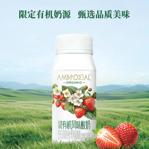MM 山姆 红颜草莓有机风味酸奶 150g*24 商品图7