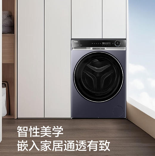海尔（Haier）洗衣机 XQG100-BD14586TLU1 商品图6