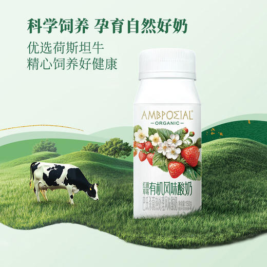 MM 山姆 红颜草莓有机风味酸奶 150g*24 商品图3