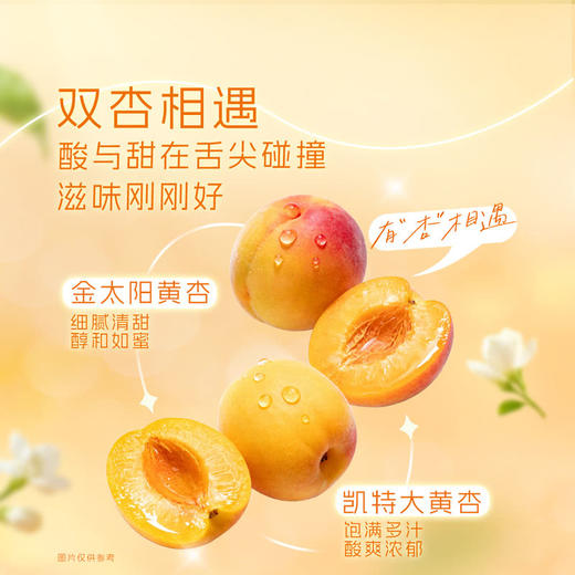 MM 山姆 碧泉甜杏茉莉绿茶果汁茶饮料 250ml*20 商品图1
