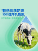 MM 山姆 蒙牛 冠益乳早8吨吨蔬果益生菌酸奶 380g*6 商品缩略图3