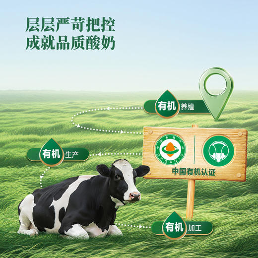 MM 山姆 红颜草莓有机风味酸奶 150g*24 商品图2