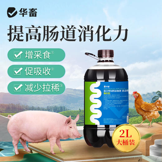 华畜 肠轻松2L 增采食 促吸收 减少拉稀 商品图0