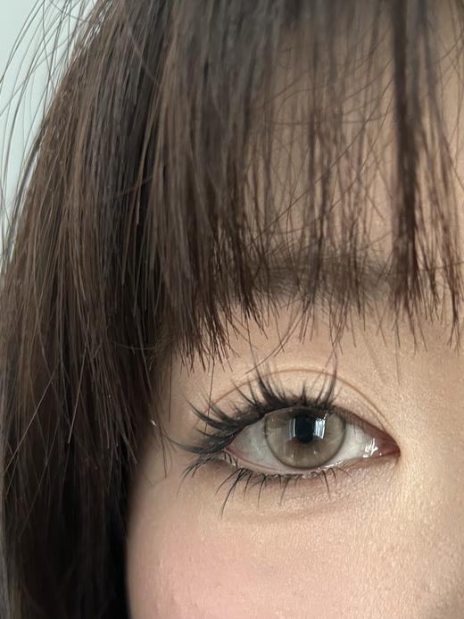 CN半年抛 太阳之子/暮色黄昏/日落的甜/点点萤火/金桔锦鲤/蜜糖柚子/怪味可可 14.0-14.2mm 商品图12