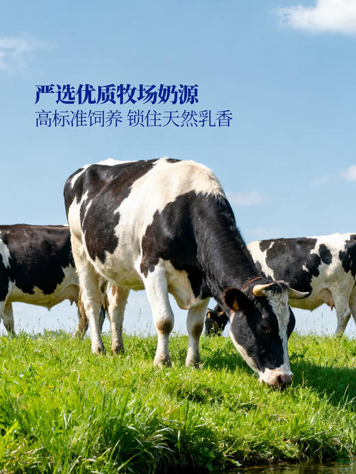 MM 山姆 Member's Mark  高钙原味风味酸奶 1.8kg*2 商品图3