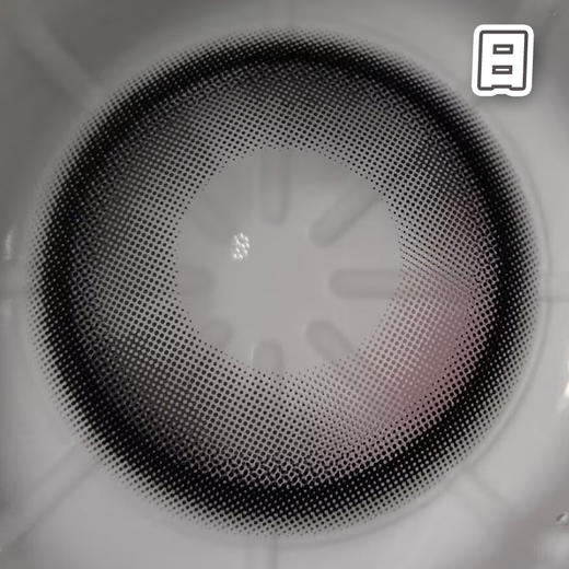 #CD-16 腮红黑 14.2mm 【10片装】国产精品 / 日抛 商品图4