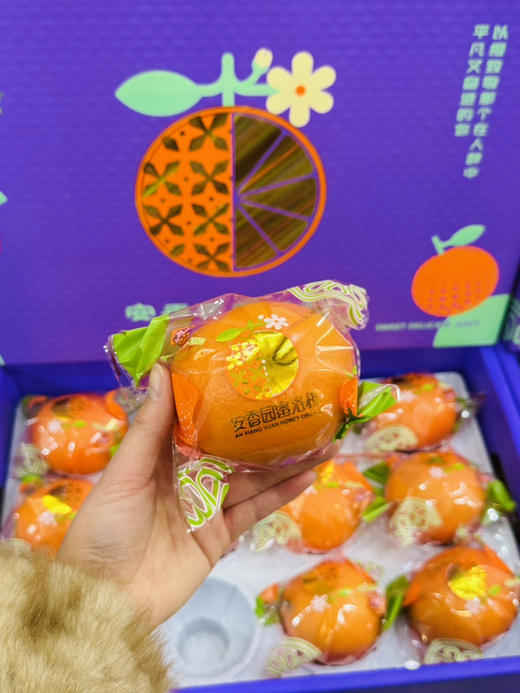 安香园蜜洛橙礼盒装（12个装） 商品图2