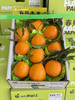 满堂红老树耙耙柑 商品缩略图5
