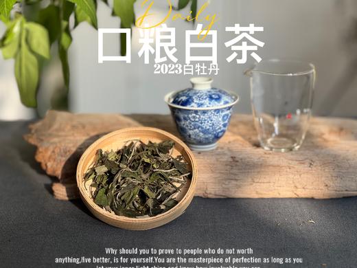 【口粮茶白茶】2026年送给茶友们的第一份心意好礼，2023白牡丹，满口花香盈满，如百花繁茂，盛开于口中！ 商品图5