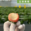 粉玉 商品缩略图1