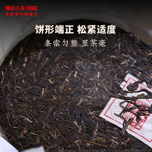 澜沧古茶2026年007大饼普洱茶生茶云南茶叶乔木口粮茶饼 商品图2