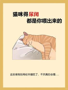 猫咪尿闭，都是你这样喂出来的！