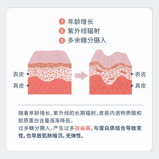 【PQQ胶原蛋白】专利透明质酸钠 胶原蛋白肽 商品图2
