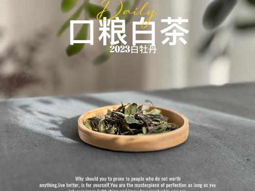 【口粮茶白茶】2026年送给茶友们的第一份心意好礼，2023白牡丹，满口花香盈满，如百花繁茂，盛开于口中！ 商品图2